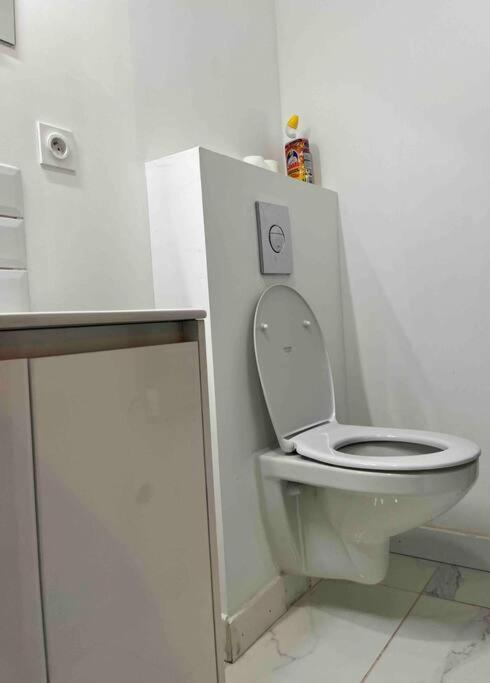 2 Room Flat Тулуза Екстер'єр фото